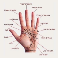 Palmistry Services Golf Link